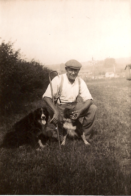 Bob Beattie Demesne Farm 1953 (name of dogs unknown)