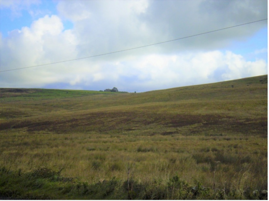 The terrain around Sandysike on which Robert Brown shepherded